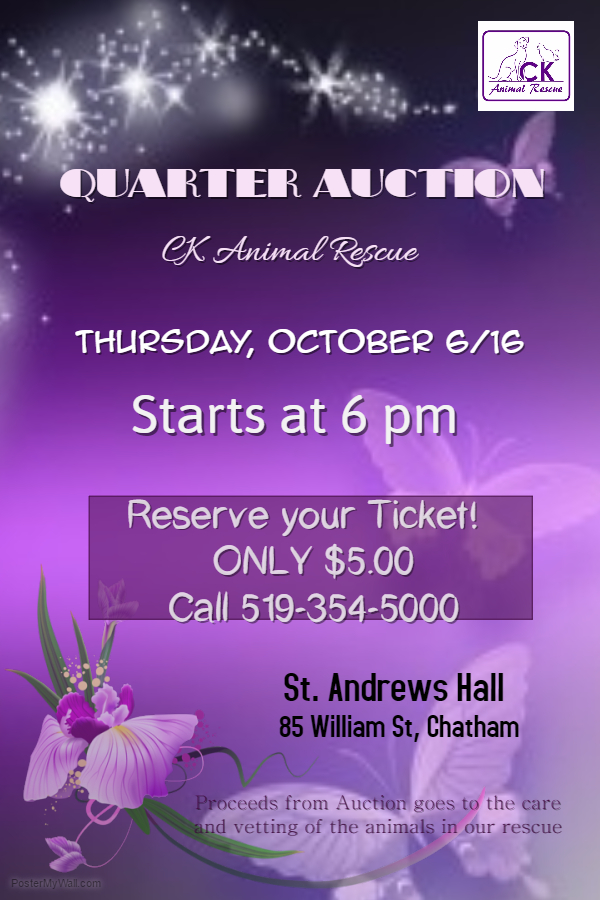 quarter-auction