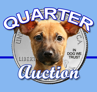 quarter-auction_american-legion-hdg_featured-image